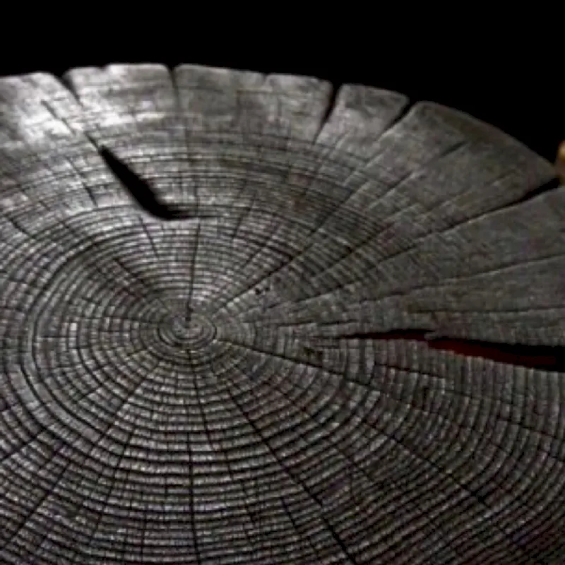 Bois brulé cèdre du Liban brossé noir 