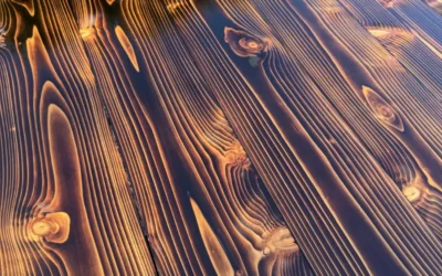 Comment entretenir un bardage en bois brûlé : conseils et erreurs à éviter