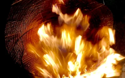 Qu’est-ce que le bois brûlé ? (définition et origines)