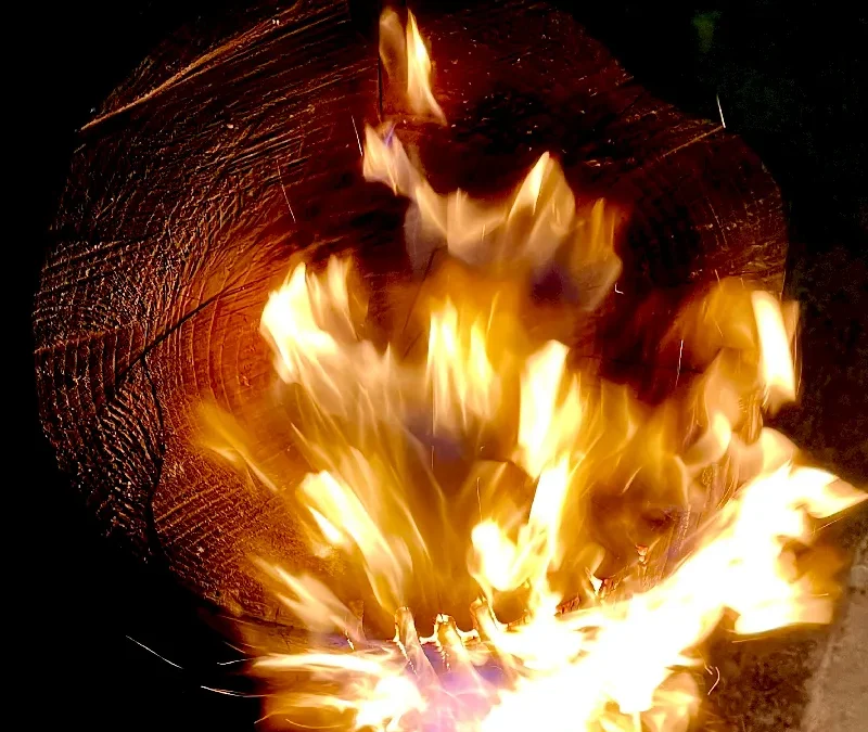 Qu’est-ce que le bois brûlé ? (définition et origines)